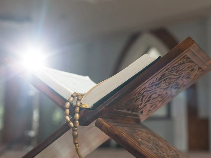 What Are Practical Ways to Cultivate Patience and Gratitude According to the Quran